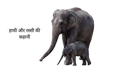 हाथी और रस्सी की कहानी